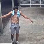 4 Narara Stabbing suspect