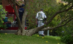 Police search vicinity of McGurk murder scene 