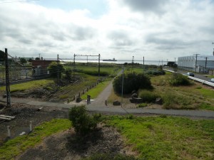 Williamstown Line Facing Port Phillip Williamstown Line Facing Port Phillip